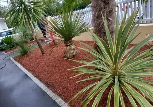 arboriste La Chapelle Glain-5