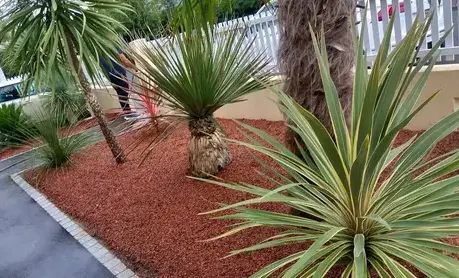 arboriste à Moisdon La Rivère - image 2