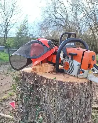 arboriste à Moisdon La Rivère - image 4