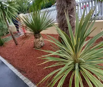 arboriste Petite Auverné-1