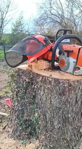 arboriste à Petite Auverné - image 2