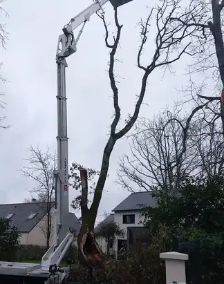 arboriste Pornichet-1