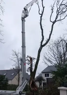 arboriste Saint-Brevin-les-Pins-1