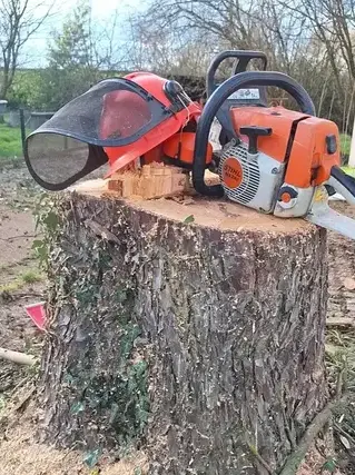 arboriste à Saint Julien de Vouvantes - image 2