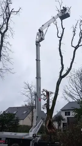 arboriste Saint-Nazaire-5