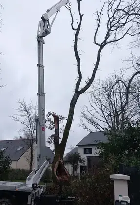 arboriste Saint-Père-en-Retz-3