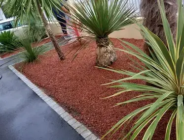 arboriste à Soudan - image 3