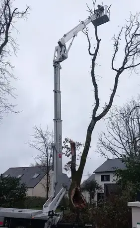 arboriste Trignac-2