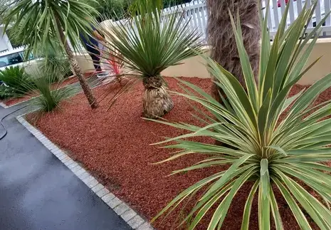 déssouchage à Carbay - image 4