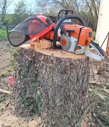 déssouchage Carbay-5