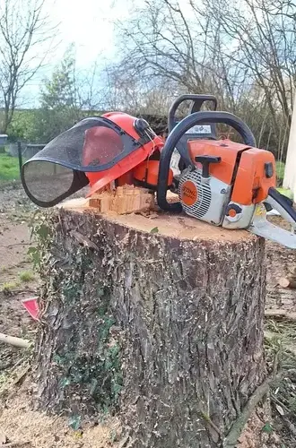 déssouchage Châteaubriant-1