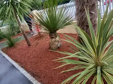 déssouchage à Châteaubriant - image 4