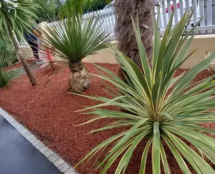 déssouchage à Erbray - image 2