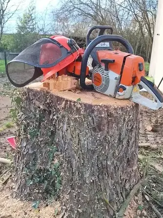 déssouchage à Erbray - image 4