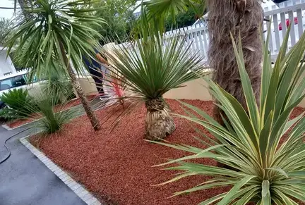 déssouchage à La Chapelle Glain - image 4