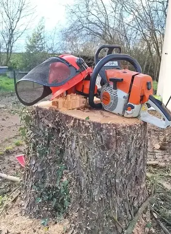 déssouchage La Chapelle Glain-5