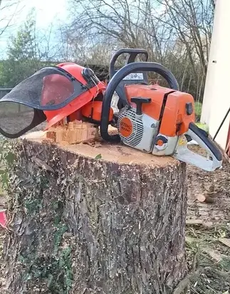 déssouchage à Moisdon La Rivère - image 2