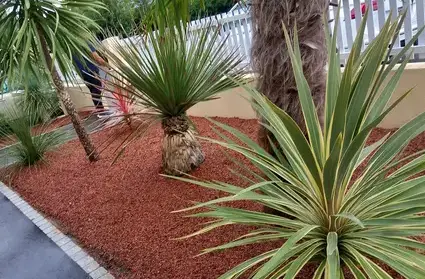 déssouchage à Moisdon La Rivère - image 4