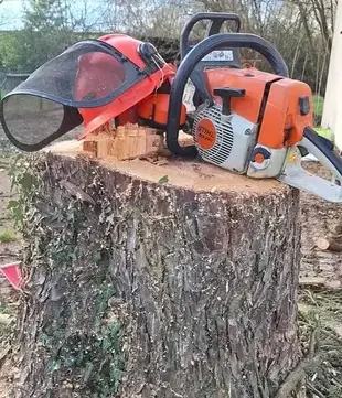 déssouchage à Petite Auverné - image 2