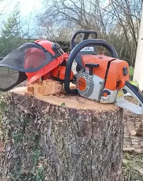 déssouchage à Saint Julien de Vouvantes - image 2