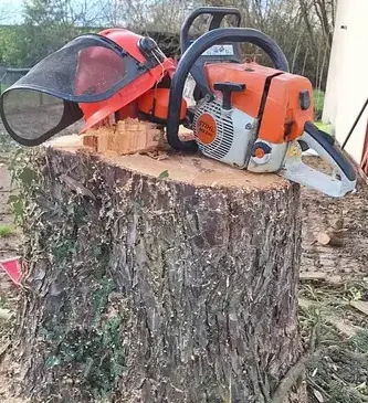 déssouchage à Soudan - image 2