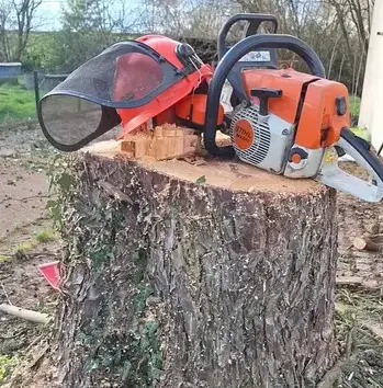 élagueur à Carbay - image 2