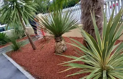 élagueur à Carbay - image 4