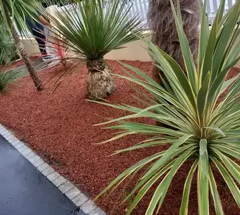 élagueur à Châteaubriant - image 2