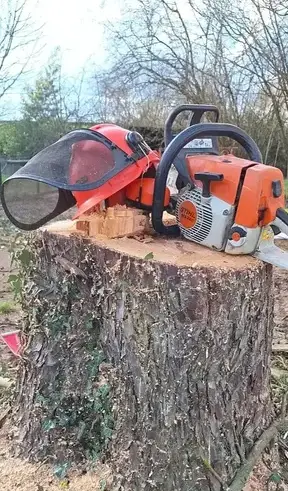 élagueur à Châteaubriant - image 4