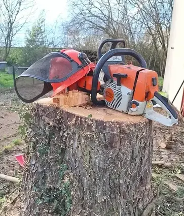 élagueur à Erbray - image 4