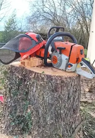 élagueur Moisdon La Rivère-1