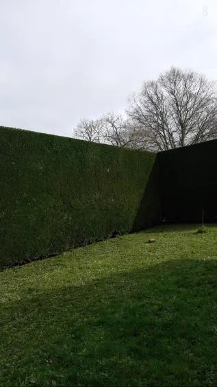 elagueur moisdon la rivere