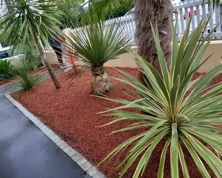 élagueur à Petite Auverné - image 4