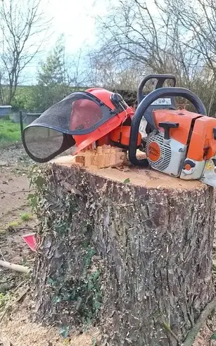 élagueur Petite Auverné-5