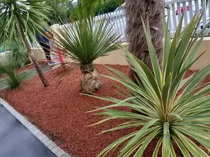 élagueur Saint Julien de Vouvantes-1