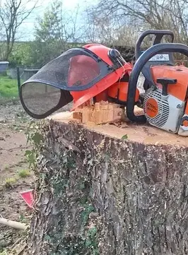 élagueur à Saint Julien de Vouvantes - image 2