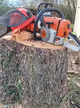 élagueur à Soudan - image 2