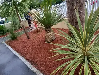 entretien de jardin à Carbay - image 3