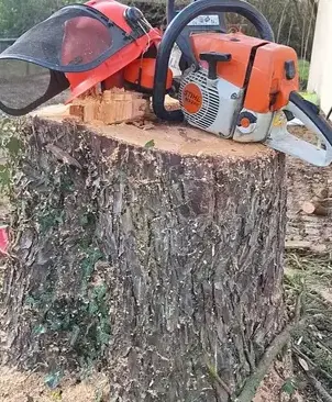 entretien de jardin Carbay-5