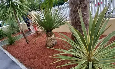 entretien de jardin Châteaubriant-1