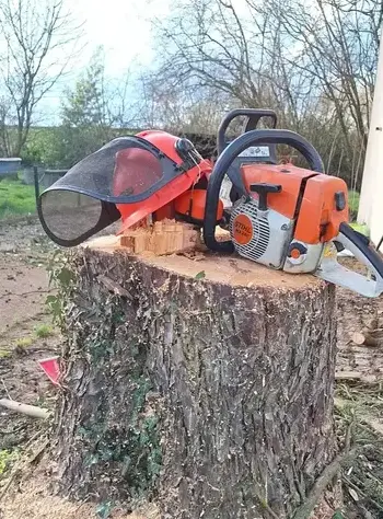 entretien de jardin à Châteaubriant - image 4