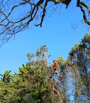 entretien de jardin Erbray-1