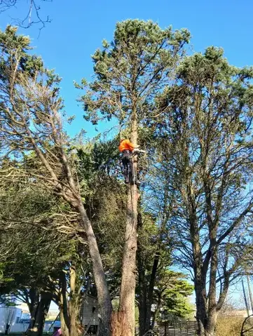 entretien de jardin à Erbray - image 3