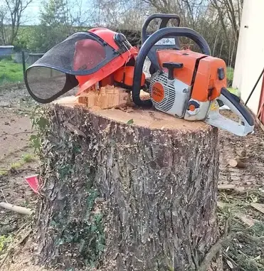 entretien de jardin à Erbray - image 4