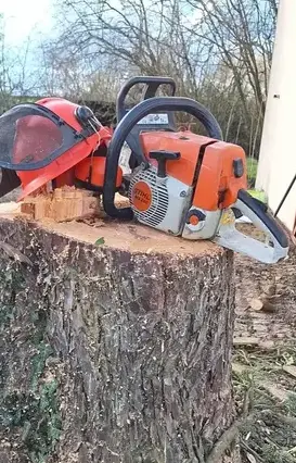 entretien de jardin à La Chapelle Glain - image 3