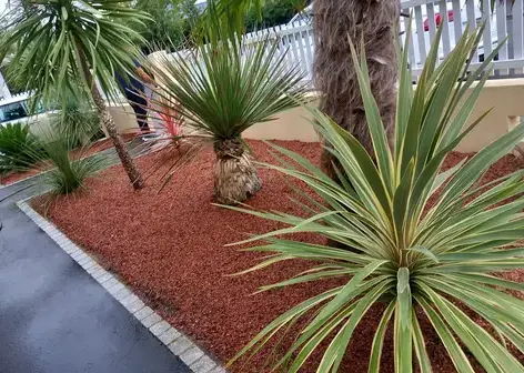 entretien de jardin La Chapelle Glain-5