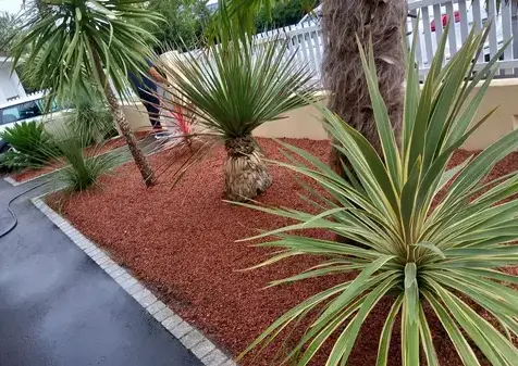 entretien de jardin Moisdon La Rivère-1