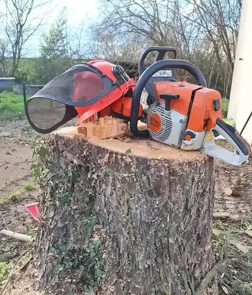entretien de jardin à Moisdon La Rivère - image 2