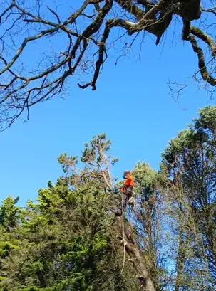entretien de jardin Moisdon La Rivère-5
