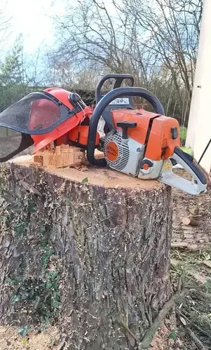 entretien de jardin à Petite Auverné - image 3